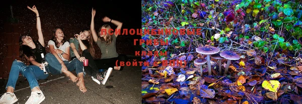 mix Корсаков