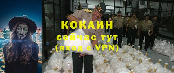 стафф Козловка