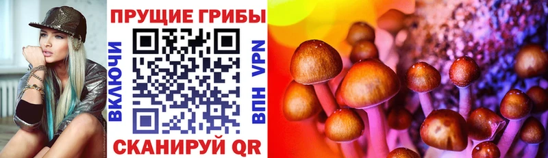 Галлюциногенные грибы ЛСД Вольск