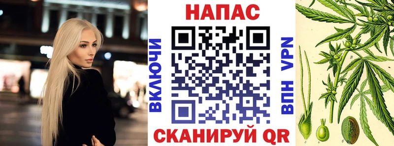 Конопля планчик  Купить  Вольск 